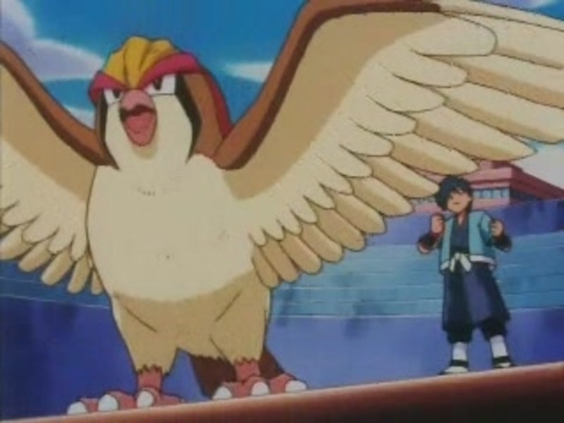 24 banned pokemon episodes elite facts fighting flyer with fire pokemon episode